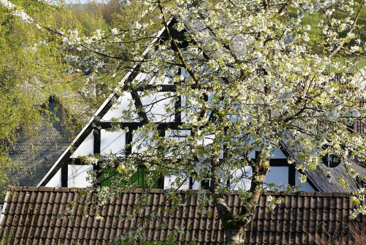 Gasthof Schumacher Hotel Garni Freudenberg  Kültér fotó